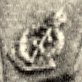 Detail of Lapel Badge